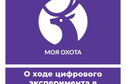 О ходе цифрового эксперимента в Новосибирской области