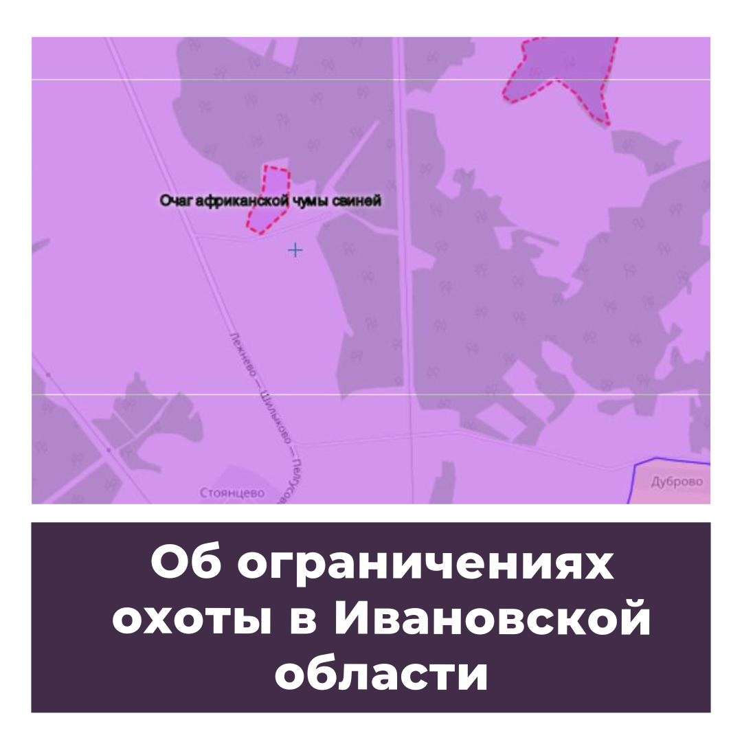 Об ограничениях охоты в Ивановской области