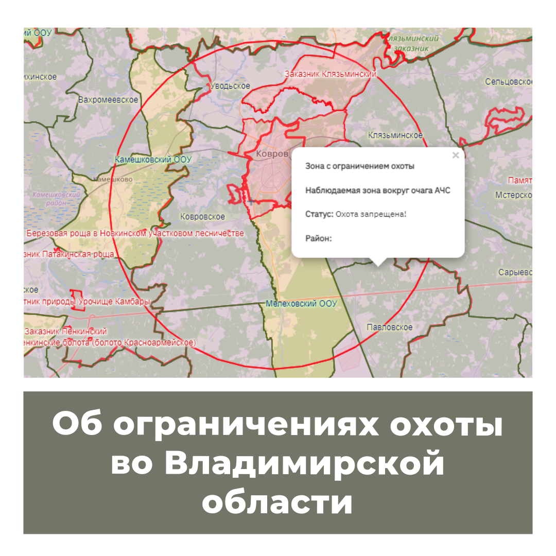 Об ограничениях охоты во Владимирской области
