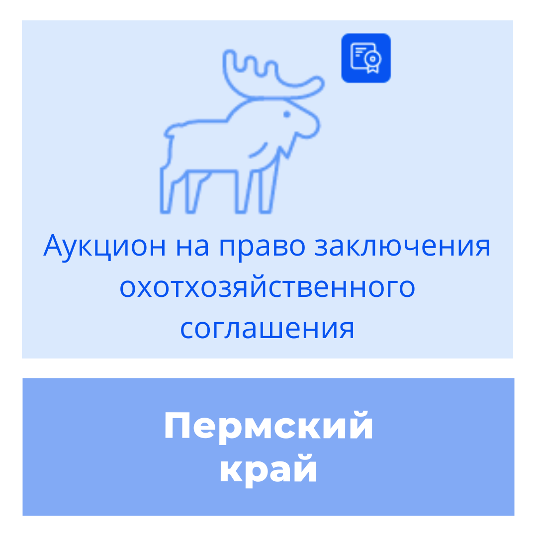 Торги на право заключения охотхозяйственного соглашения в Пермском крае
