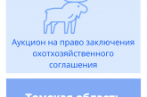Аукцион на право заключение охотхозяйственных соглашений в Томской области