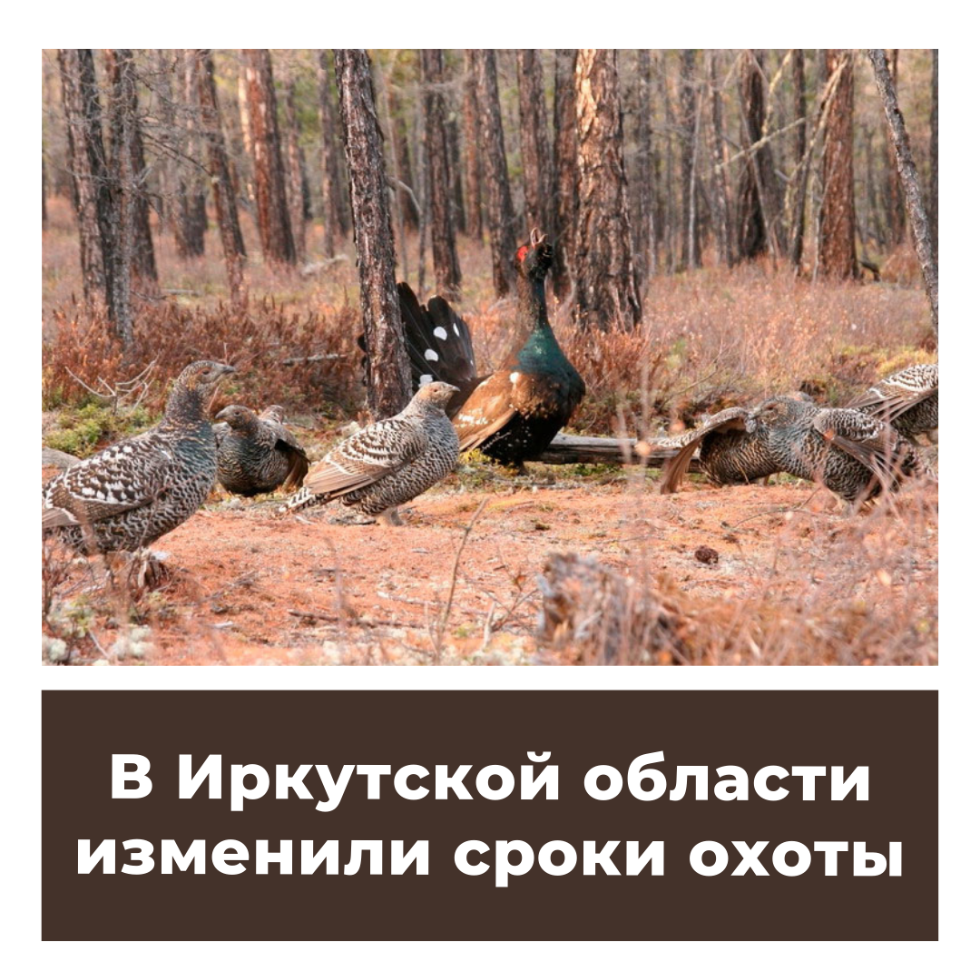 В Иркутской области изменили сроки охоты