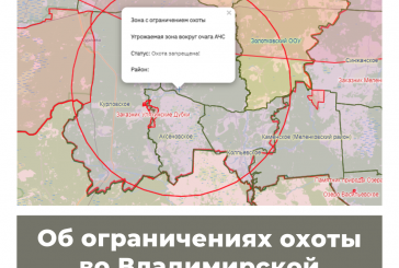 Об ограничениях охоты во Владимирской области