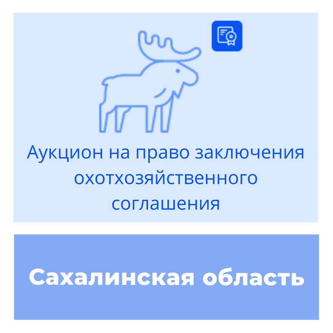 Торги на право заключения охотхозяйственного соглашения в Сахалинской области