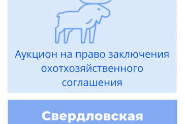 Торги на право заключения охотхозяйственных соглашений в Свердловской области