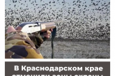 В Краснодарском крае отменили зоны охраны охотничьих ресурсов