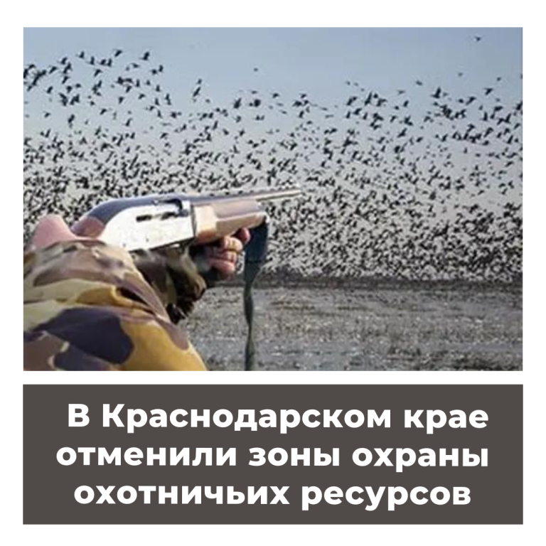 В Краснодарском крае отменили зоны охраны охотничьих ресурсов