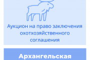 Торги на право заключения охотхозяйственных соглашений в Архангельской области