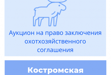 Торги на право заключения охотхозяйственного соглашения в Костромской области