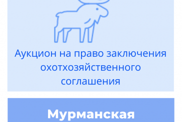 Торги на право заключения охотхозяйственного соглашения в Мурманской области