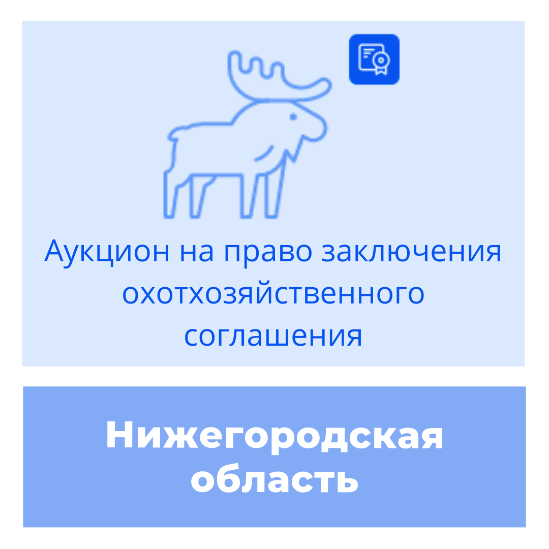 Торги на право заключения охотхозяйственных соглашений в Нижегородской области