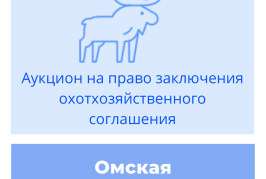 Торги на право заключения охотхозяйственного соглашения в Омской области