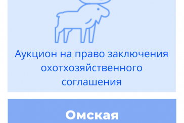 Торги на право заключения охотхозяйственных соглашений в Омской области