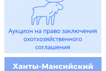 Торги на право заключения охотхозяйственного соглашения в Ханты-Мансийском автономном округе — Югра