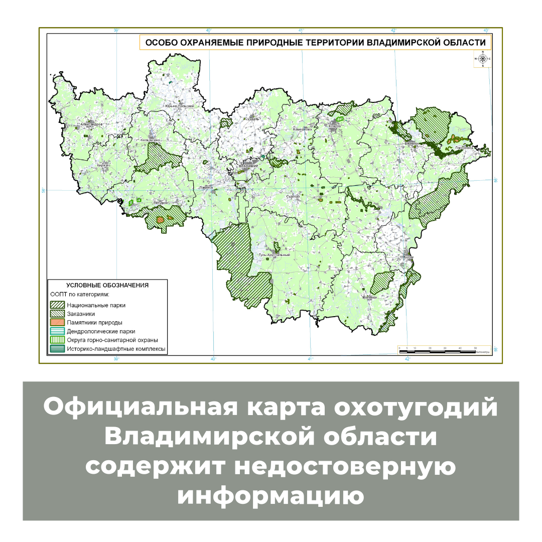 Природная зона владимирской области