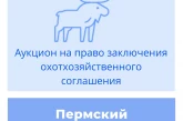 Торги на право заключения охотхозяйственного соглашения в Пермском крае