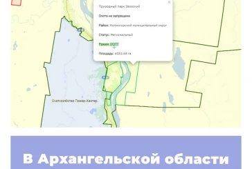 В Архангельской области создана новая ООПТ