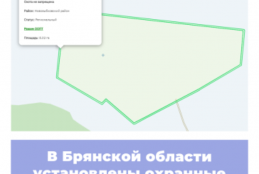 В Брянской области установлены охранные зоны региональных ООПТ