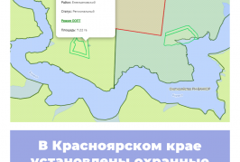 В Красноярском крае установлены охранные зоны региональных ООПТ
