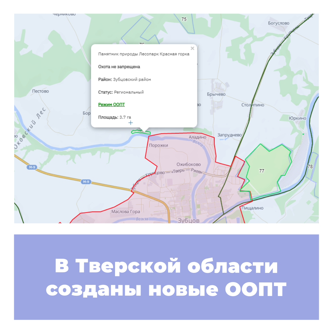 В Тверской области созданы новые ООПТ