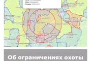 Об ограничениях охоты в Костромской области