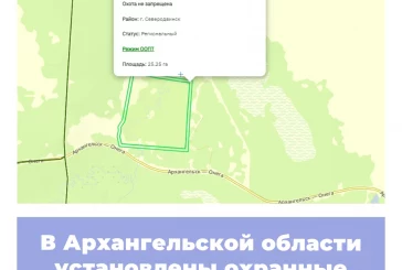 В Архангельской области установлены охранные зоны региональных ООПТ