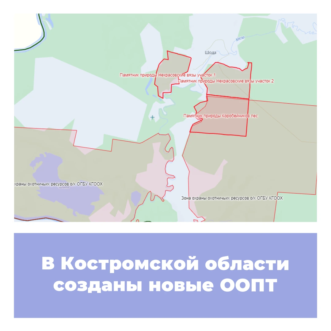 В Костромской области созданы новые ООПТ