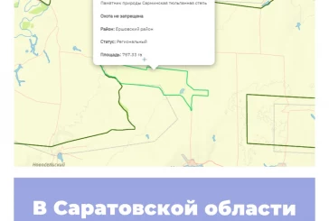 В Саратовской области созданы новые ООПТ