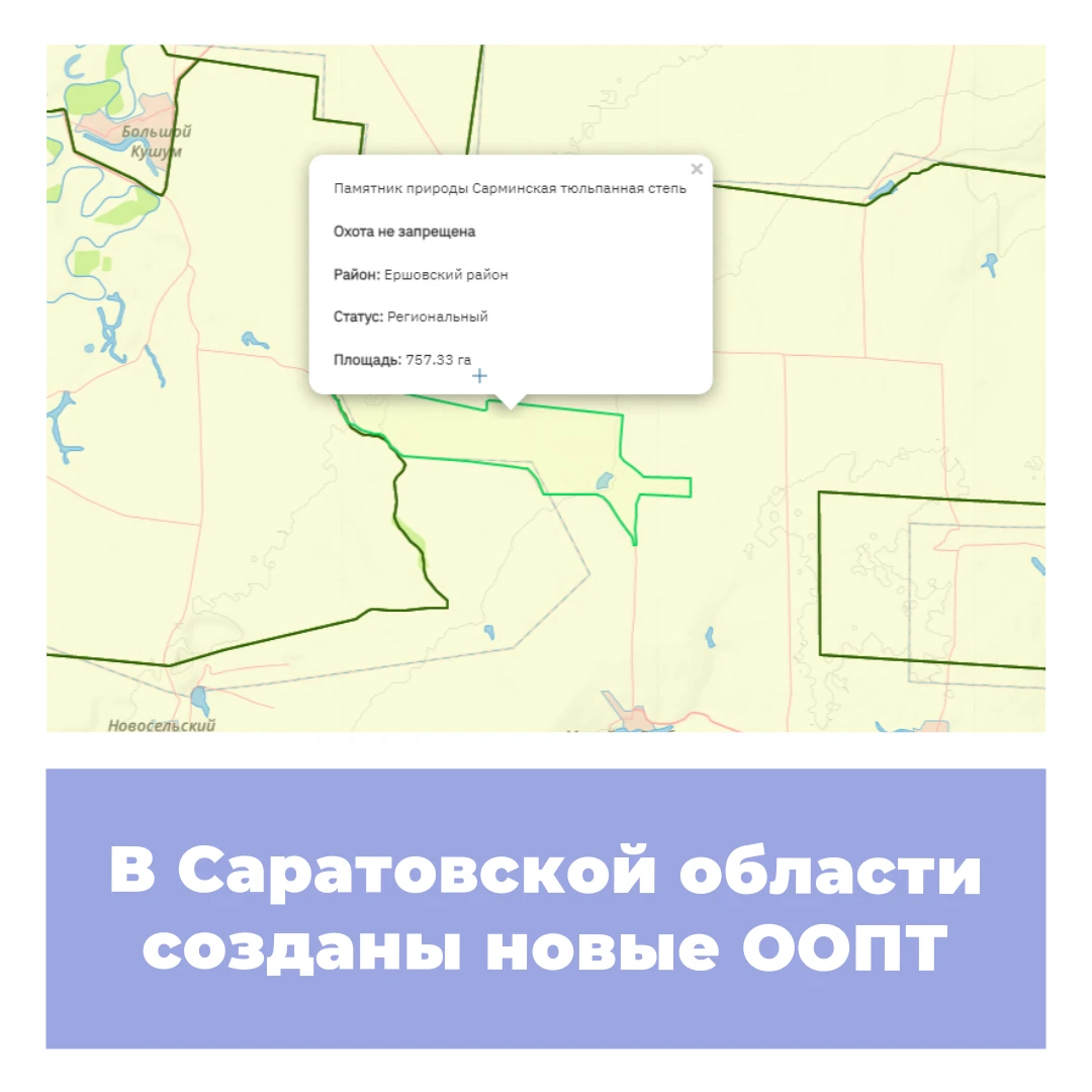 В Саратовской области созданы новые ООПТ