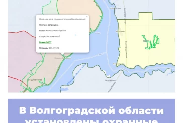 В Волгоградской области установлены охранные зоны региональных ООПТ