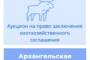 Торги на право заключения охотхозяйственных соглашений в Архангельской области