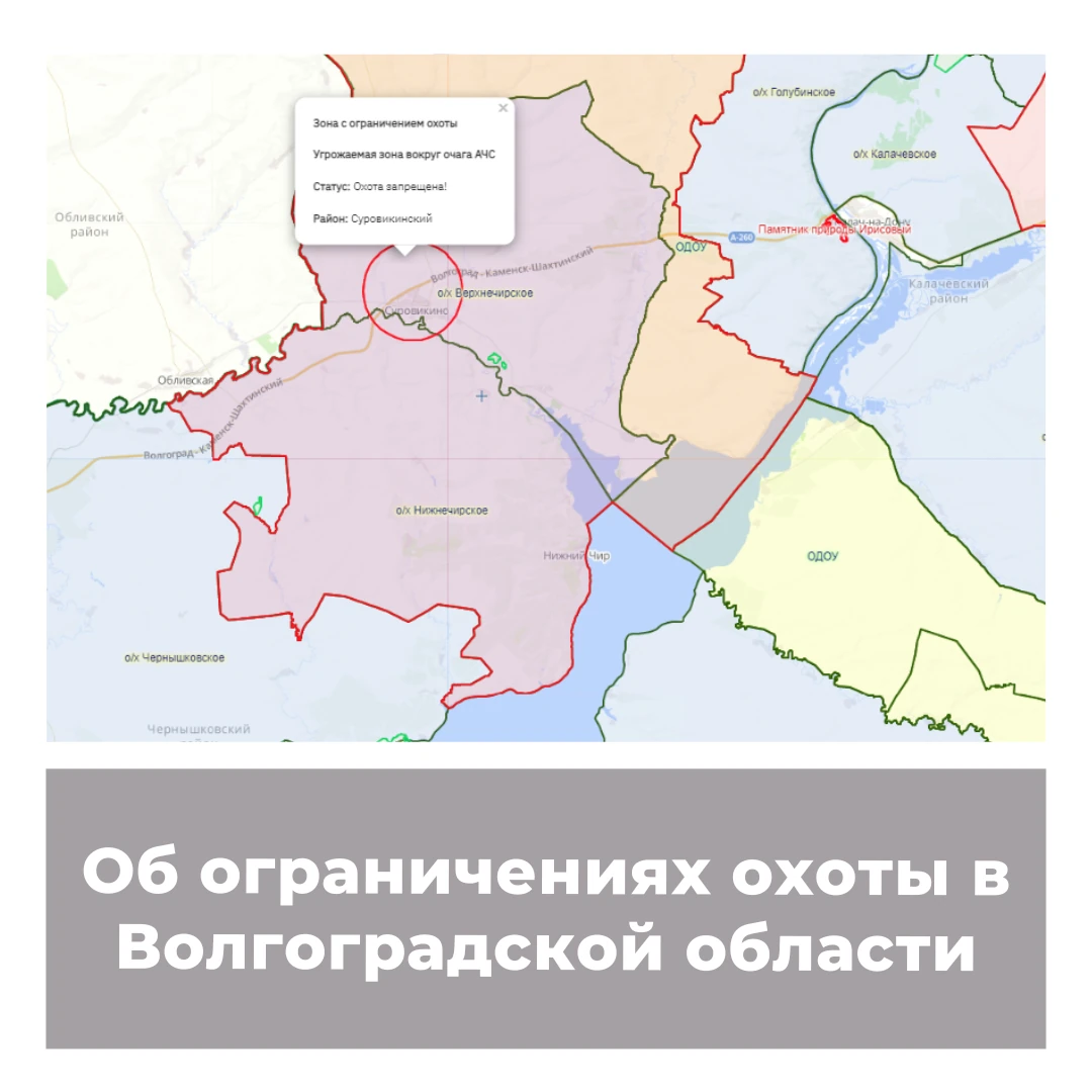 Об ограничениях охоты в Волгоградской области