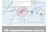 Об ограничениях охоты в Ростовской области