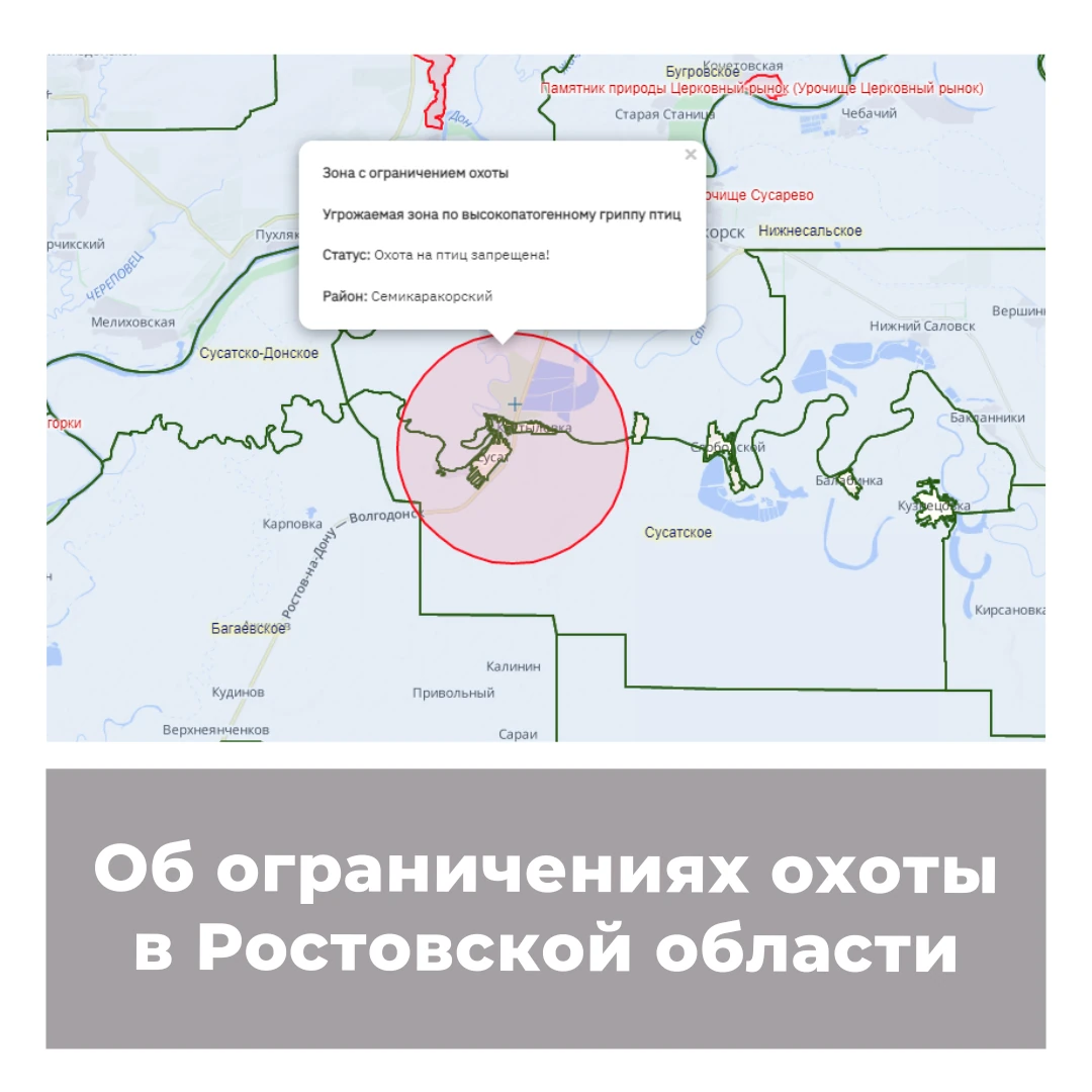 Об ограничениях охоты в Ростовской области