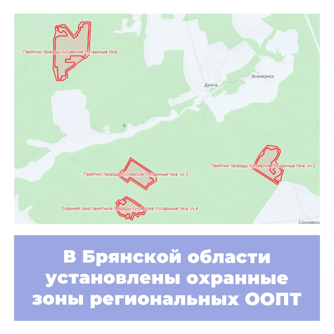 В Брянской области установлены охранные зоны региональных ООПТ