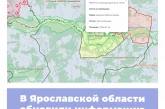 В Ярославской области обновили информацию по ООПТ