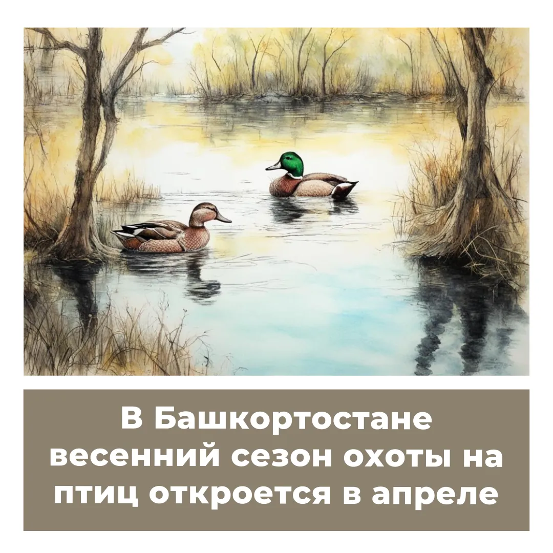 В Башкортостане весенний сезон охоты на птиц откроется в апреле
