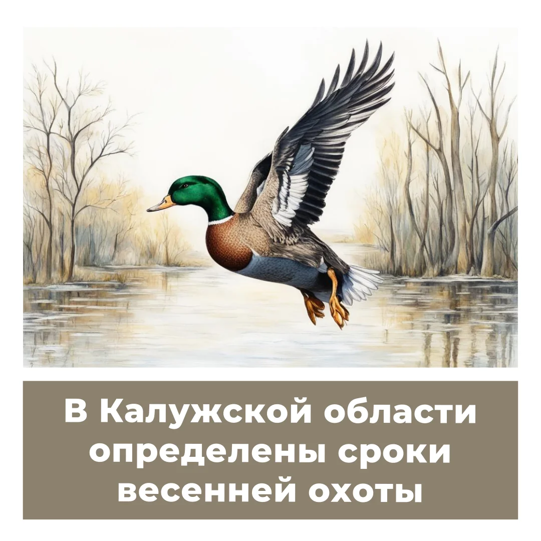 В Калужской области определены сроки весенней охоты