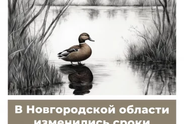 В Новгородской области изменились сроки весенней охоты