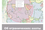 Об ограничениях охоты в Челябинской области