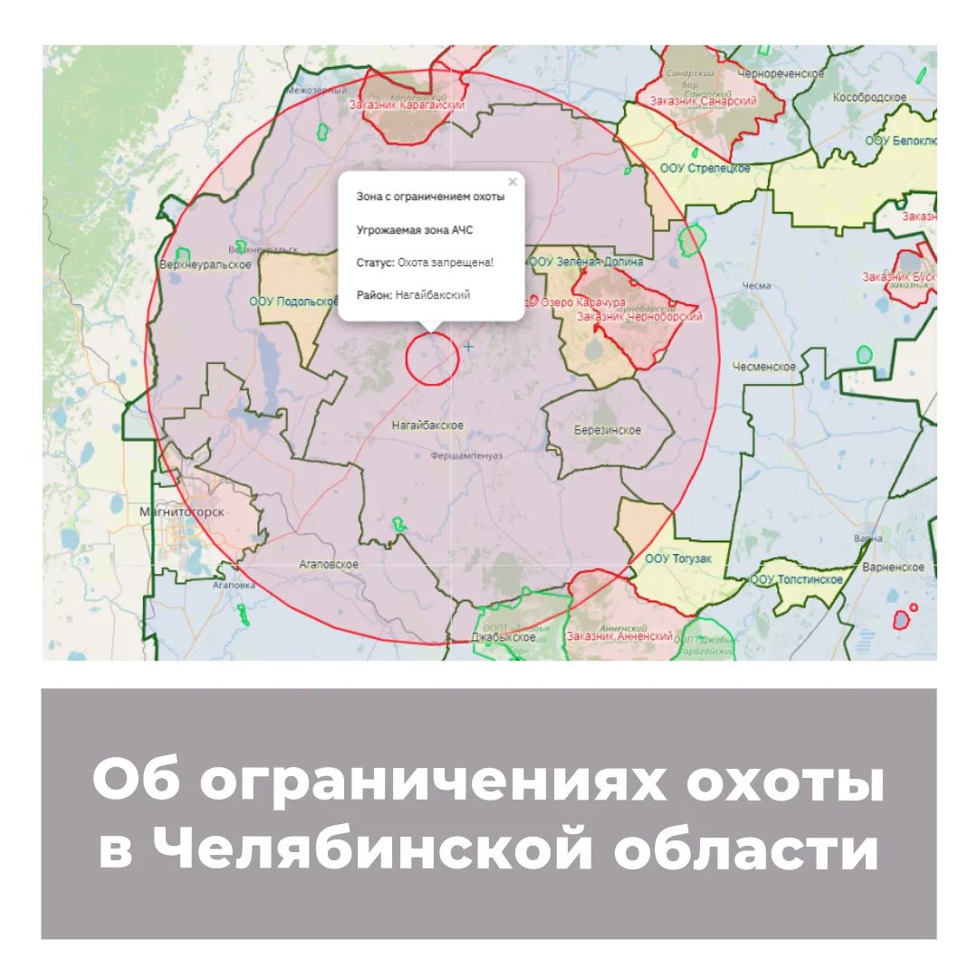 Об ограничениях охоты в Челябинской области