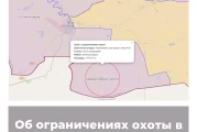 Об ограничениях охоты в Волгоградской области