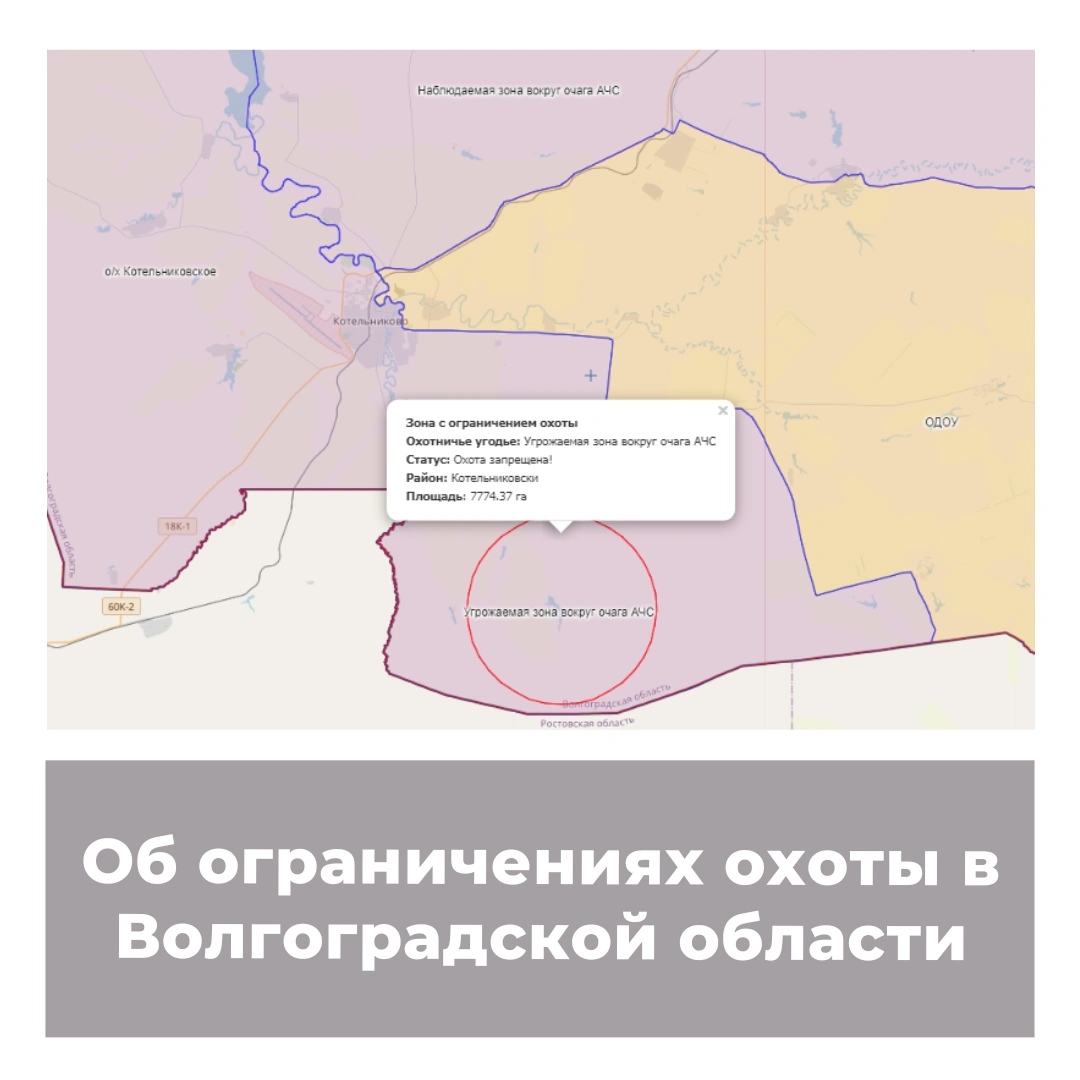 Об ограничениях охоты в Волгоградской области
