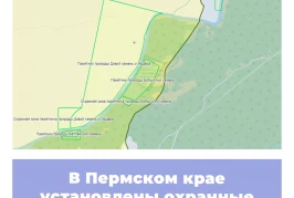 В Пермском крае установлены охранные зоны региональных ООПТ