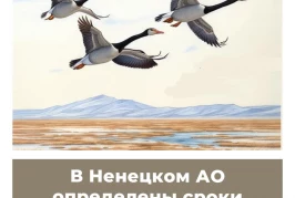 В Ненецком АО определены сроки весенней охоты