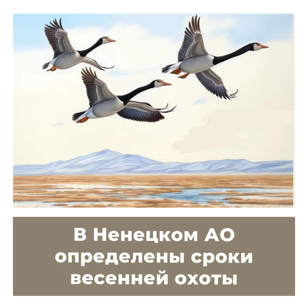 В Ненецком АО определены сроки весенней охоты
