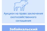 Торги на право заключения охотхозяйственного соглашения в Забайкальском крае