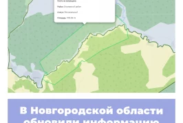 В Новгородской области обновили информацию по ООПТ