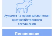 Торги на право заключения охотхозяйственного соглашения в Пензенской области