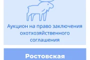 Торги на право заключения охотхозяйственного соглашения в Ростовской области